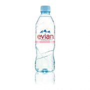 Evian Still Water 500ml Pet